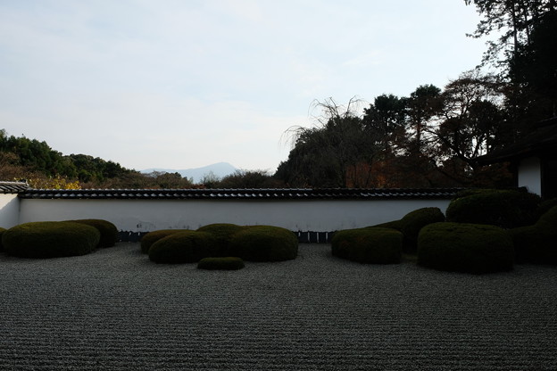 正伝寺の借景庭園