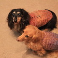 Photos: 手編みのキャミ着てみたよ