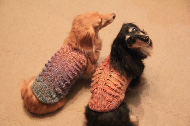 Photos: ママの手編みだよ