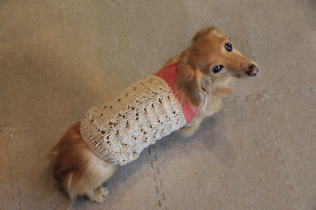 ママの手編みだよ