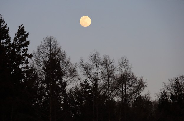 夕刻の月