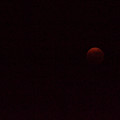 Photos: 赤銅色の満月