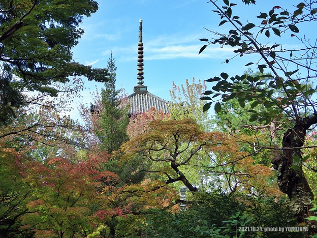 さぁ秋の京都だ！