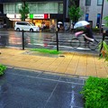 Photos: 雨の日