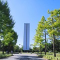 Photos: 大仙公園平和塔