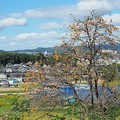 Photos: 里山の秋