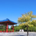 Photos: 大仙公園日本庭園