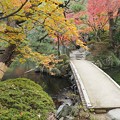 Photos: 日本庭園