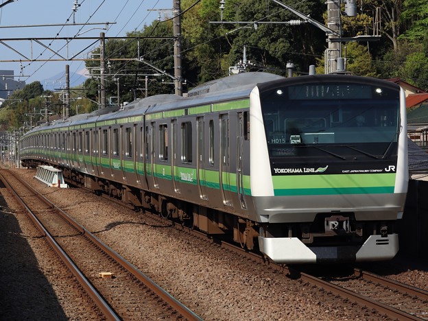 横浜線E233系6000番台　H015編成