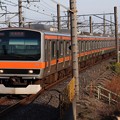 Photos: 武蔵野線E231系0番台　MU6編成