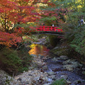 Photos: 虎渓橋の紅葉
