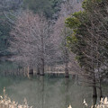 Photos: 冬の江汐湖
