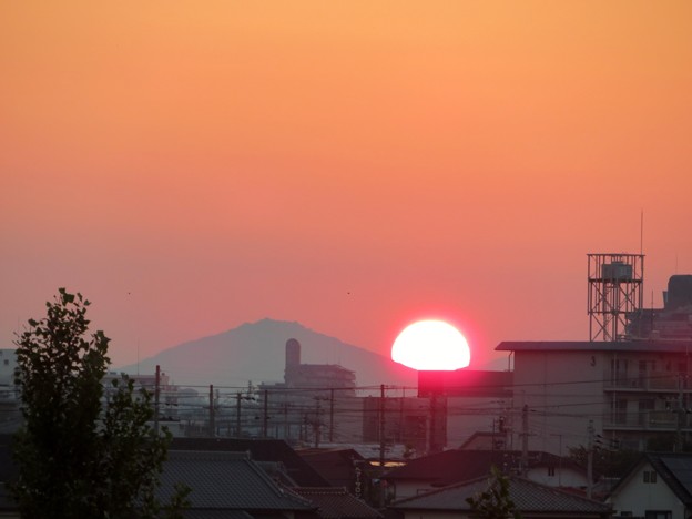 おっこ山と朝日（２）
