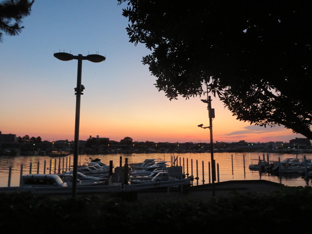 ボートパークの夜明け（２）