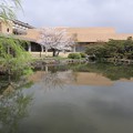 京セラ美術館・日本庭園1