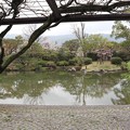 京セラ美術館・日本庭園（藤棚より）1