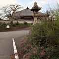 Photos: 浄土寺2