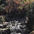 Photos: 箕面の滝道1