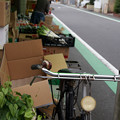 Photos: 八百屋の自転車