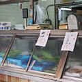 Photos: 鮭としじみ