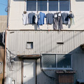 Photos: 洗濯日和