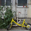 Photos: 黄色い自転車