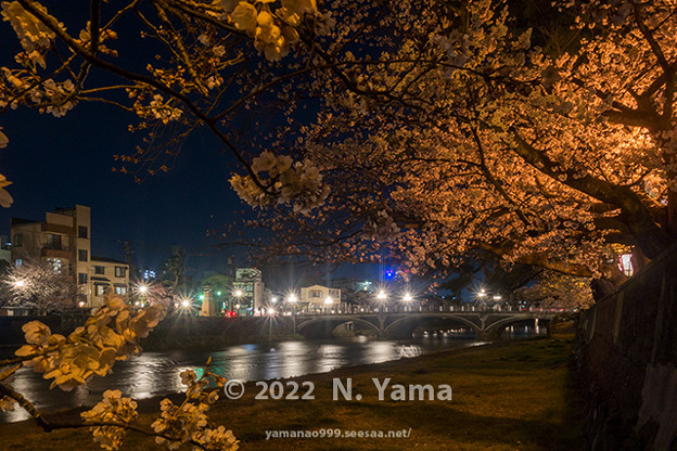 2022年4月5日、浅野川夜景