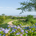 Photos: 2022年6月25日、卯辰山公園 眺望の丘
