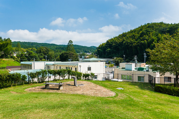 日本平動物園 管理棟裏の丘