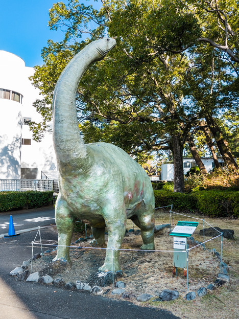 博物館前のケティオサウルス