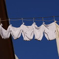 Photos: 洗濯物