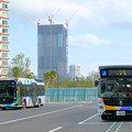 Photos: 晴海BRTターミナル…東京BRT(2)
