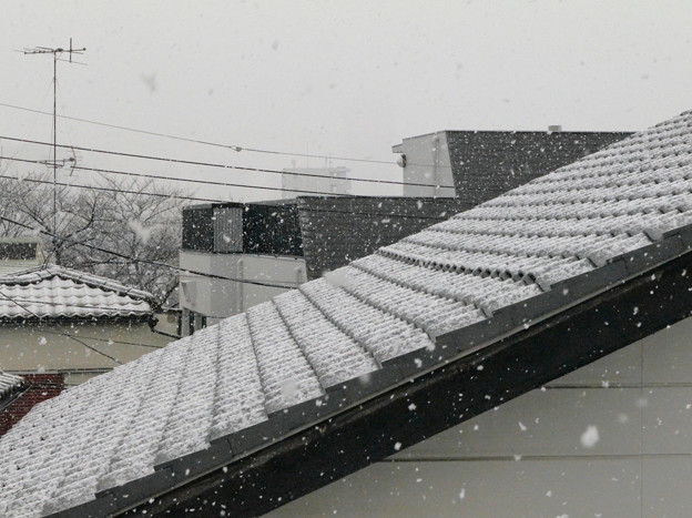 東京の雪景色 2021.1.28