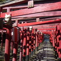 Photos: 美濃輪稲荷神社