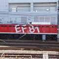 EF81-95