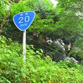 国道20号と紫陽花