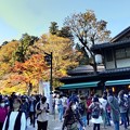 Photos: 高尾山の紅葉