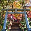 Photos: 晩秋の神社