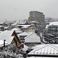 Photos: 八王子も雪