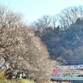 Photos: 春色沿線(57)