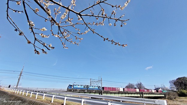 春色貨物列車