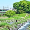Photos: ぽかぽか中央線