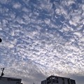 Photos: 雲よ