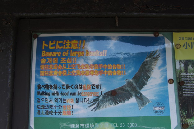 Photos: 鎌倉ならではのポスター