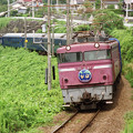 Photos: 鹿児島本線を行く下り「なは」