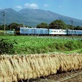 Photos: しなの鉄道を行くマヤ検