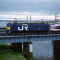 Photos: JR貨物の試験塗装機（EF65 1059）