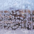 Photos: 冷え込みで共用廊下窓の霜