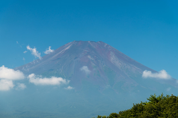 06富士五湖巡り【花の都公園：赤富士のアップ】