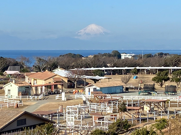 25ソレイユの丘【展望塔より富士山の眺め】